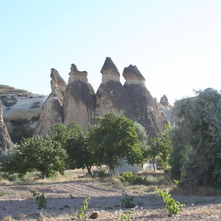 Anatolia cave hotel Pension Göreme Esterno foto
