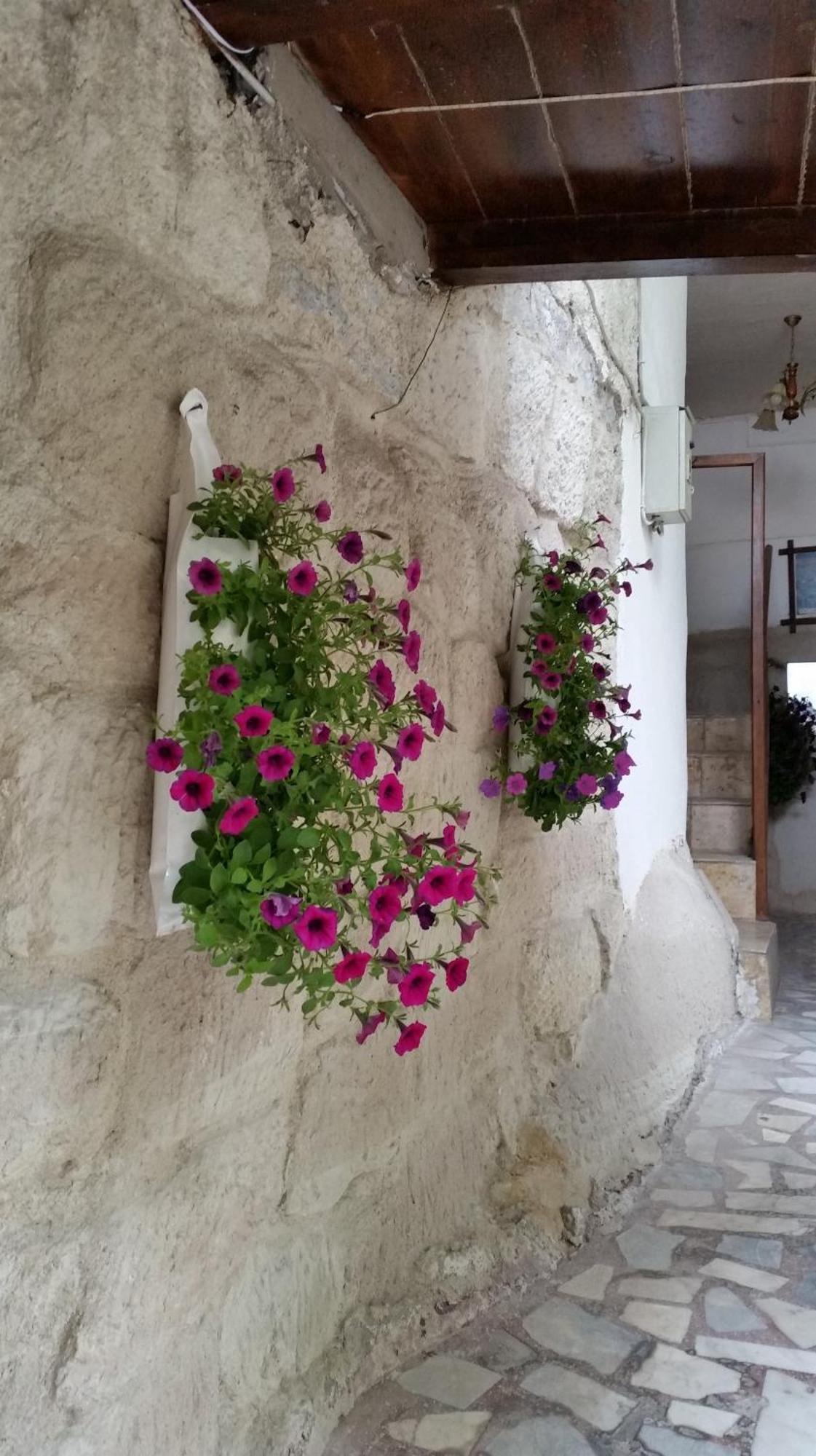Anatolia cave hotel Pension Göreme Esterno foto