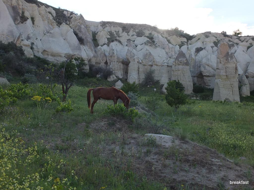 Anatolia cave hotel Pension Göreme Esterno foto